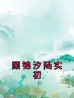 顾锦汐陆实初