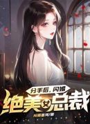 分手后，闪婚绝美女总裁