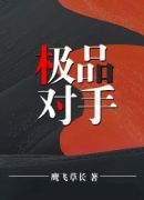 宦海杀星：绝对正义