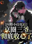 闪婚小白花后，京圈三爷彻底收心了