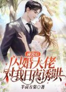 碰瓷后，闪婚大佬对我日夜诱哄