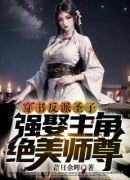 穿书反派圣子，强娶主角绝色师尊