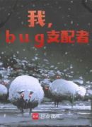 我，bug支配者