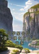 同学聚会后，妻子睡在了白月光家