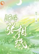 104张相纸