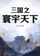 三国之寰宇天下