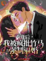 重逢后，我被疯批竹马强制逼婚