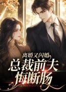 离婚又闪婚，总裁前夫悔断肠