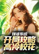 媒婆系统：开局攻略高冷校花