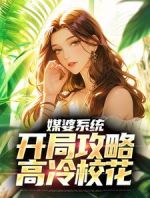 媒婆系统：开局攻略高冷校花