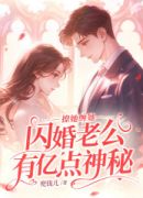 撩她缠她，闪婚老公有亿点神秘