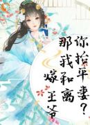 言情：渣男夫君一家娶平妻？