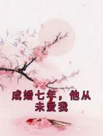 成婚七年，他从未爱我