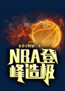 NBA登峰造极