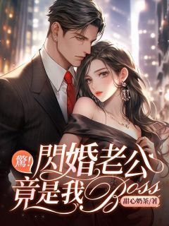 惊！闪婚老公竟是我BOSS